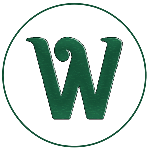 WebExpert Logo